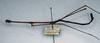 CollectionObject 1561746; NMW 312, 7ce65300-b513-4c1f-b493-245eddd41cdd: NMW, Vienna. male, lateral view (lectotype). (CollectionObject).