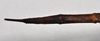CollectionObject 1558559; d175cf57-13bf-4202-bdc4-79a45254a6cc: copyright NTUC. female: end of abdomen, dorsal view (syntype). (CollectionObject).;CollectionObject 1558560; 79f3f8cc-d56f-40aa-b01f-edb53ef13999: copyright NTUC. female: end of abdomen, dorsal view (syntype). (CollectionObject).