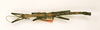 CollectionObject 1559179; a225a47e-8473-4027-8022-3289df357a51: copyright AMNH, New York. male (holotype). (CollectionObject).