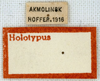 CollectionObject 1478065; 4cb85b59-6194-4213-a431-f3db37295a85: labels (holotype). (CollectionObject).