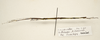 CollectionObject 1591074; 3f08a0ef-71f1-4518-a1c5-70dfa24afd6d: copyright ZRC Singapore. male, lateral view (paratype). (CollectionObject).