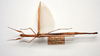 CollectionObject 1580861; 01a5103c-71cf-4d93-8d01-9764f665615a: copyright FRCS, Sabah. female (holotype). (CollectionObject).