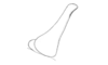 Ronderosia malloi (Liebermann, 1966): Fig. 4L. male cercus, lateral view. (Otu).