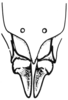 Arminda fuerteventurae Holzapfel, 1972: Fig. 4 C. female abdomen tip, ventral view. (Otu).