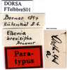CollectionObject 1475812; ab271183-163a-4942-99ae-f3626f01b929: labels (syntype). (CollectionObject).