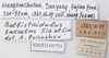 CollectionObject 1543934; bdf9a7e4-cf62-4a27-8d82-33bf39df4740: labels. (CollectionObject).