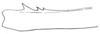 Hetaira (Atopana) varia (Walker, 1869): Fig. 79. male, left forefemur, internal view, ventral margin at top (neoallotype). (Otu).