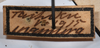 CollectionObject 1553106; 291e40d0-9f79-4d77-a16f-80c8690aa536: copyright NTUC. data label of Phyllodromia punctulata (syntype). (CollectionObject).
