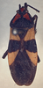 Oncopeltus (Oncopeltus) varicolor stalii: Oncopeltus stalii. Type. (MLP) - (CC BY-NC 4.0) - Photo by Eugenia Minghetti, reproduced with permission from the Museo de La Plata, La Plata, Argentina. (Otu).