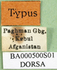labels (holotype). Depicts CollectionObject 1501410; 79da890b-58f0-4e9e-97aa-f5579a8c3a77, a CollectionObject.