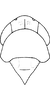 Head on Distantasca serratipenis (Qin & Zhang, 2007): Head dorsum. (Observation).