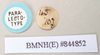 CollectionObject 1562029; eca50ffd-5ecd-4700-bb73-81f80c633884: copyright Natural History Museum, London. female, data labels [round label reversed] of Necroscia sipylus (paralectotype),. (CollectionObject).;CollectionObject 1562030; 7567f662-c345-4d65-8ecb-01c7d6d4ef45: copyright Natural History Museum, London. female, data labels [round label reversed] of Necroscia sipylus (paralectotype),. (CollectionObject).