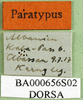 CollectionObject 1502737; 98af9269-593d-4657-9e4f-c57ed7d6db75: labels (paratype). (CollectionObject).