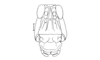 Tebacris nigrisoma Cigliano, 1989: Fig. 196. male, head, frontal view. (Otu).