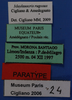 CollectionObject 1513706; 7078fdbf-83b9-4a7b-b38e-32ac487f0fd1: labels (paratype). (CollectionObject).