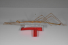 CollectionObject 1562901; 46fbdf44-650a-46c9-a2fa-eba69a462515: copyright ZSMC, Munich. male, lateral view (holotype). (CollectionObject).