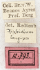 labels (syntype). Depicts CollectionObject 1531466; NMW 12793, 42621e8a-0731-43bd-9d9a-87e3344f2f43, a CollectionObject.