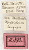 CollectionObject 1531466; NMW 12793, 42621e8a-0731-43bd-9d9a-87e3344f2f43: labels (syntype). (CollectionObject).