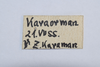 CollectionObject 1537725; 95590db6-7e5d-4081-9d9e-88ebff4062f0: label. (CollectionObject).