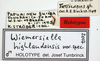 CollectionObject 1567603; 380b7015-b89c-4934-ad1c-775f7325b448: labels (holotype). (CollectionObject).
