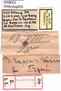 CollectionObject 1593035; 024526d7-5c7a-425c-8b1c-d614d1278e30: labels (syntype of Bryodema luctuosum lugens). (CollectionObject).