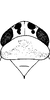 Head: !! display not done !! on Afrosteles distans (Linnavuori, 1959): Head, pro-, and mesothorax. (Observation).