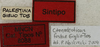 CollectionObject 1535987; 7d868d74-5d10-400e-b981-e22b57e61135: labels (syntype). (CollectionObject).