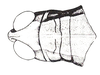 Baeacris peniana (Ronderos, 1992): Fig. 12. male, head and pronotum, dorsal view. (Otu).