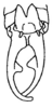 Decma (Idiodecma) birmanica (Bey-Bienko, 1971): Fig. 13. male abdomen tip, ventral view. (Otu).