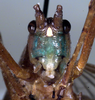 CollectionObject 1522340; 649eef7d-7d1c-44c0-91ae-1b8461d8f7a3: male face (holotype). (CollectionObject).