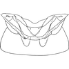 Abdomen, sternal apodemes, ventral view: !! display not done !! on Zygina (Zygina) suavis Rey, 1891: Abdomen, sternal apodemes, ventral view. (Observation).