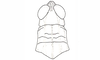 Dichroplus patruelis (Stål, 1861): Fig. 20. male, head and pronotum, dorsal view. (Otu).