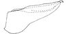 Pygofer, lateral view on Polana (Culumana) excava (DeLong & Freytag, 1972): Male: pygofer, lateral view. (Observation).