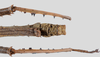CollectionObject 1581502; 36692960-3023-44aa-88be-f5934594d937: copyright RMNH Leiden. male: end of abdomen, dorsal view. (CollectionObject).