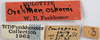 Other: !! display not done !! on Melizoderes osborni (Funkhouser, 1930): (Observation).