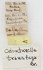 labels (syntype?). Depicts CollectionObject 1532998; NMW 12.017', 9b12bd35-ad9e-49b3-856b-8ba0820f899f, a CollectionObject.