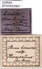 CollectionObject 1502348; 2749878e-1fcb-45f8-8a02-037cee06dce6: labels. (CollectionObject).