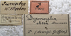 CollectionObject 1505838; 21c3650c-79ff-4c0e-85f7-fd01f0e6c019: labels. (CollectionObject).