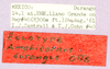 CollectionObject 1499475; 5d0a4dad-8b7a-407b-becb-2283cd478652: labels (holotype). (CollectionObject).