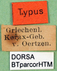 CollectionObject 1500490; a02ccc70-ab50-492f-b661-066dbcdf55e9: labels (syntype). (CollectionObject).