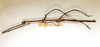 CollectionObject 1595887; 1fc6ca65-52c7-4a11-9b51-a60481d65f5c: copyright ETHZ. female of synonym Cuniculina electa (lectotype). (CollectionObject).