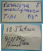 CollectionObject 1542758; 82d9c4ce-fd5d-46c9-8697-c9079f38213b: male, labels (holotype). (CollectionObject).