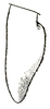 CollectionObject 1522190; 0aa56165-7da1-4b0d-9375-07a6341a1407: Pl. IV, Fig. 64 (after type). male left cercus, lateral outline. (CollectionObject).