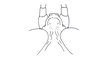 Scirtopaon dorsatus Descamps & Rowell, 1984: Fig. 21. female head, dorsal view. (Otu).