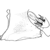 Pygofer, lateral view on Dunioa gratiosa Dworakowska, 1995: pygofer or process. (Observation).