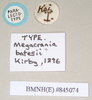 CollectionObject 1559744; 6d4dd64e-e290-4b65-838e-4d78707a72fd, NHMUK(SF IMPORT DUPLICATE) 845073-845074: copyright Natural History Museum, London. female, data labels (paralectotype). (CollectionObject).