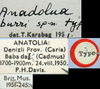 CollectionObject 1517106; 864c5181-c6b4-46e0-a0c5-f6e88cc71772: labels (holotype). (CollectionObject).