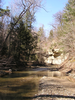 Small stream stonefly habitat Depicts Plecoptera Burmeister, 1839, an Otu.