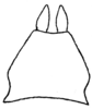 Callimenellus apterus Beier, 1944: Fig. 159 (same as Fig. 155 in Beier 1954). male subgenital plate (3 mm, styli 1.3 mm). (Otu).