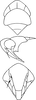 Head on Empoa (Empoides) punicea (Matsumura, 1932): Head, pro-, and mesothorax. (Observation).